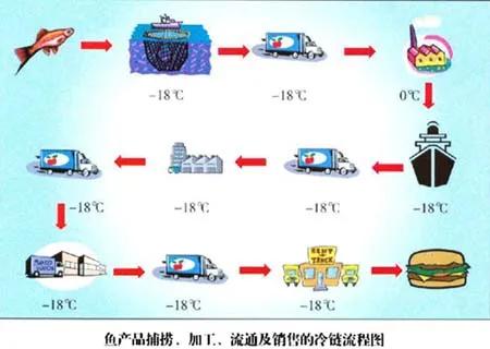 被低估的水產(chǎn)品冷鏈大市場,冷鏈企業(yè)不容忽視
