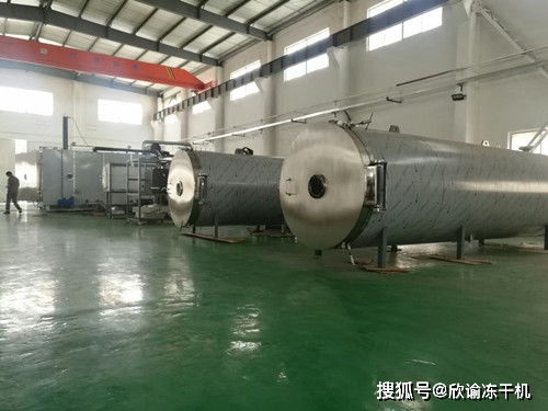 真空冷凍干燥機干燥過程中與溫度之間有何關聯(lián)