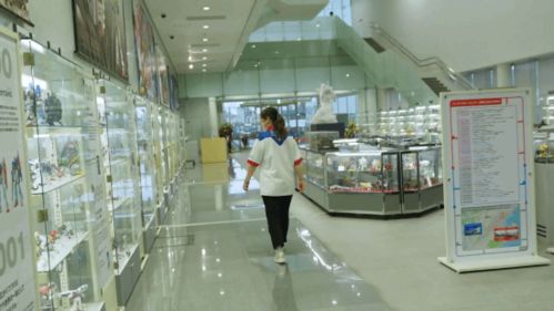 參觀萬(wàn)代高達(dá)工廠 裝甲核心6開(kāi)發(fā)者擔(dān)任翻譯的獨(dú)特體驗(yàn)